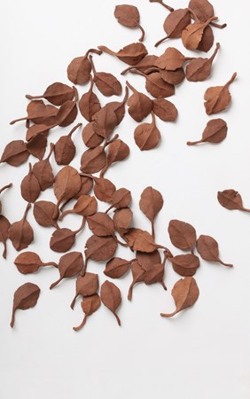 Leaves - part of installation, modled and fired natural brickclay, 2008 - 2018