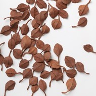 Leaves - part of installation, modled and fired natural brickclay, 2008 - 2018